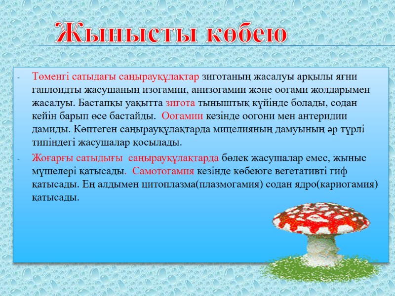 Төменгі сатыдағы саңырауқұлақтар зиготаның жасалуы арқылы яғни гаплоидты жасушаның изогамии, анизогамии және оогами жолдарымен